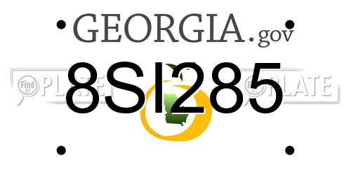 8SI285 Georgia License Plate