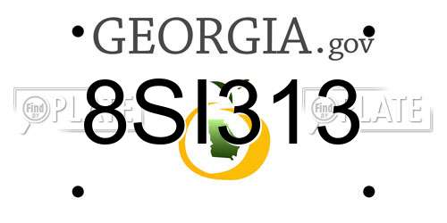 8SI313 Georgia License Plate