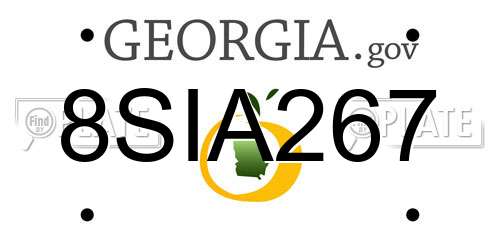 8SIA267 Georgia License Plate