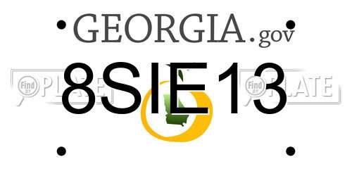 8SIE13 Georgia License Plate