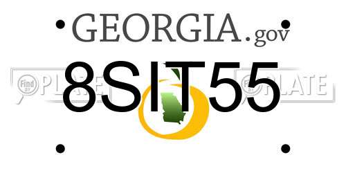 8SIT55 Georgia License Plate