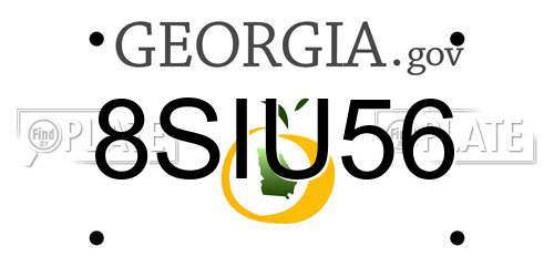 8SIU56 Georgia License Plate
