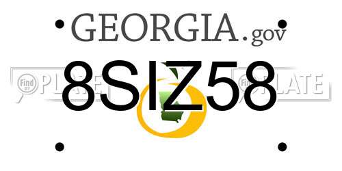 8SIZ58 Georgia License Plate