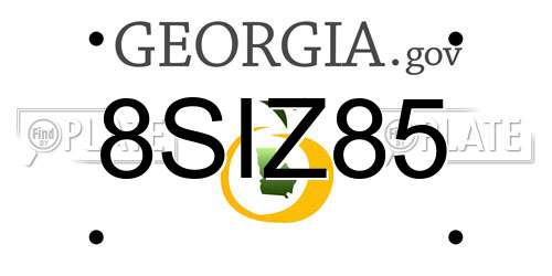 8SIZ85 Georgia License Plate