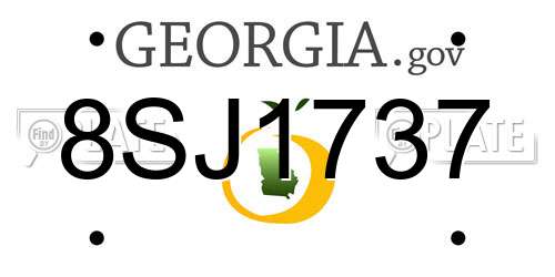 8SJ1737 Georgia License Plate
