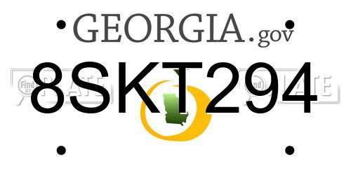 8SKT294 Georgia License Plate