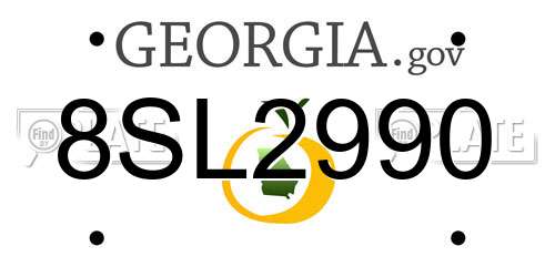 8SL2990 Georgia License Plate