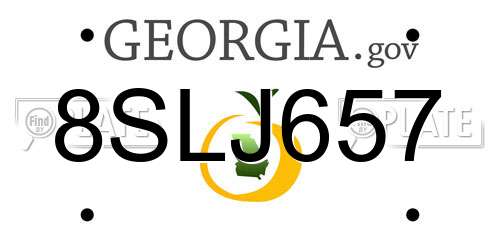 8SLJ657 Georgia License Plate