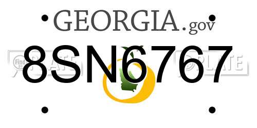 8SN6767 Georgia License Plate