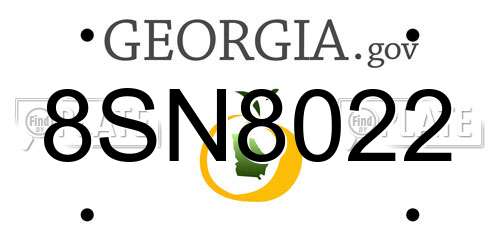 8SN8022 Georgia License Plate