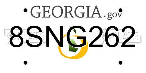 8SNG262 Georgia License Plate