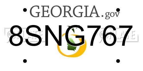 8SNG767 Georgia License Plate