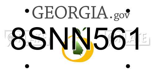 8SNN561 Georgia License Plate