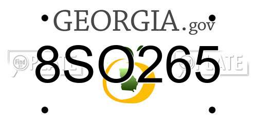 8SO265 Georgia License Plate