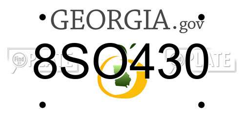 8SO430 Georgia License Plate