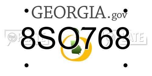 8SO768 Georgia License Plate