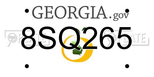 8SQ265 Georgia License Plate