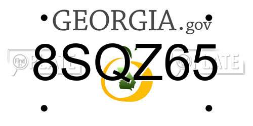 8SQZ65 Georgia License Plate