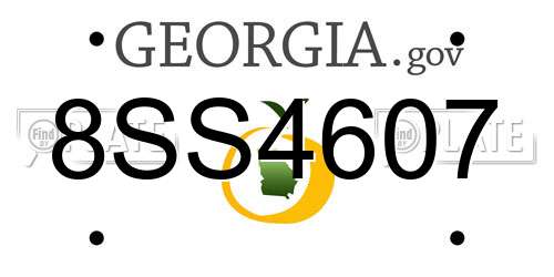 8SS4607 Georgia License Plate
