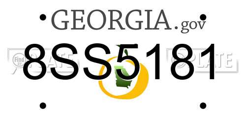 8SS5181 Georgia License Plate