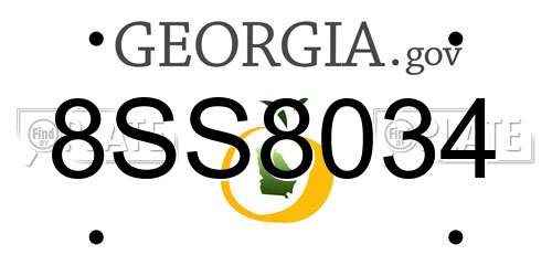 8SS8034 Georgia License Plate