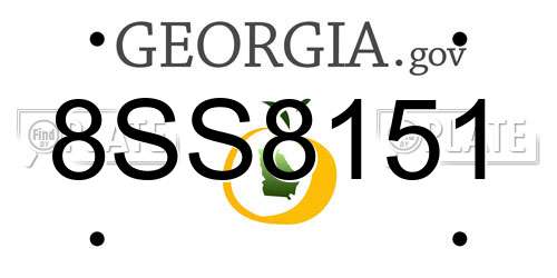 8SS8151 Georgia License Plate