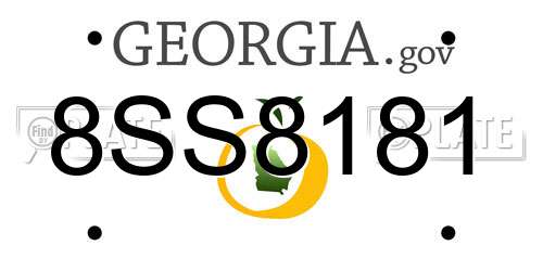 8SS8181 Georgia License Plate