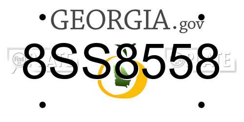 8SS8558 Georgia License Plate