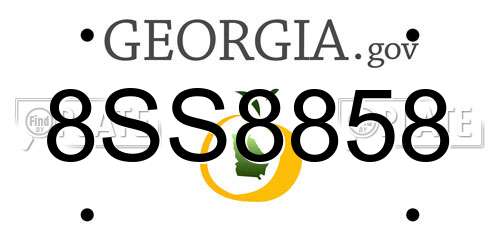 8SS8858 Georgia License Plate
