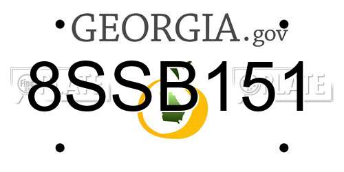 8SSB151 Georgia License Plate