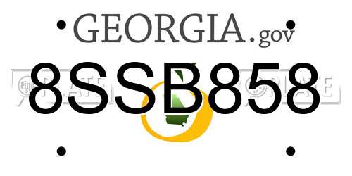 8SSB858 Georgia License Plate