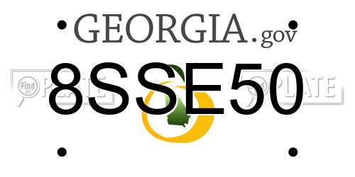 8SSE50 Georgia License Plate