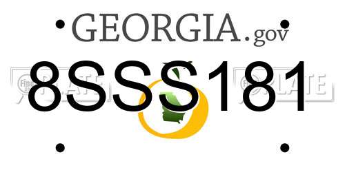 8SSS181 Georgia License Plate