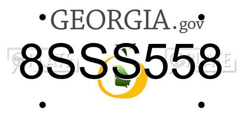 8SSS558 Georgia License Plate