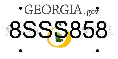 8SSS858 Georgia License Plate
