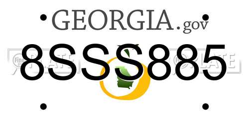 8SSS885 Georgia License Plate