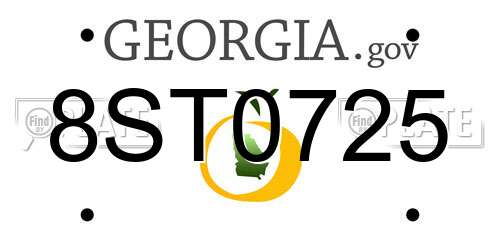 8ST0725 Georgia License Plate