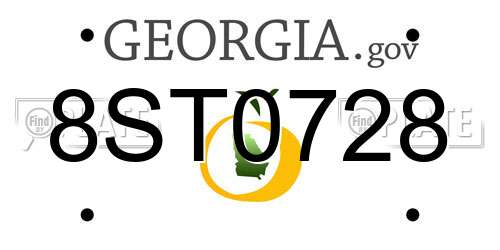 8ST0728 Georgia License Plate