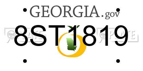8ST1819 Georgia License Plate