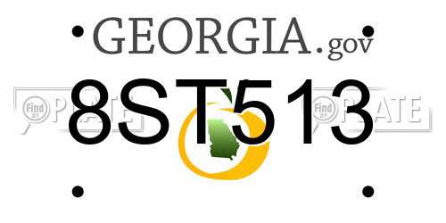 8ST513 Georgia License Plate