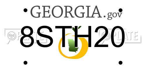 8STH20 Georgia License Plate