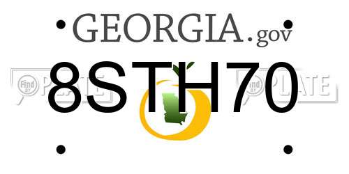 8STH70 Georgia License Plate