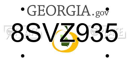 8SVZ935 Georgia License Plate