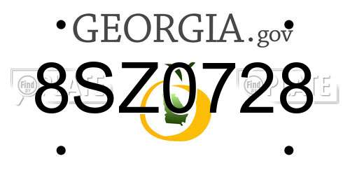 8SZ0728 Georgia License Plate