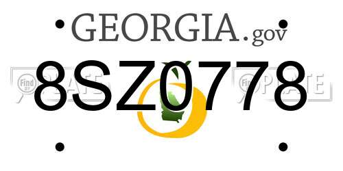 8SZ0778 Georgia License Plate