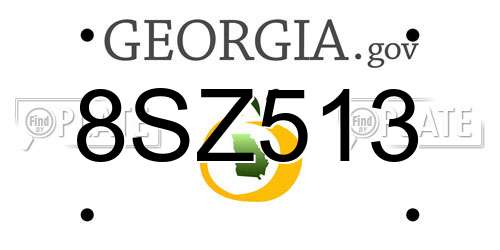 8SZ513 Georgia License Plate