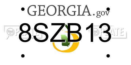 8SZB13 Georgia License Plate