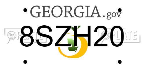 8SZH20 Georgia License Plate