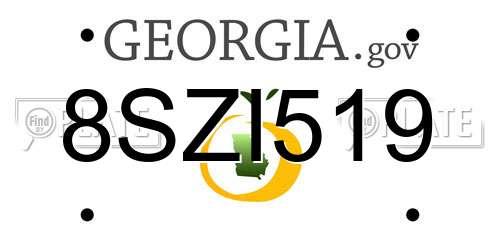 8SZI519 Georgia License Plate