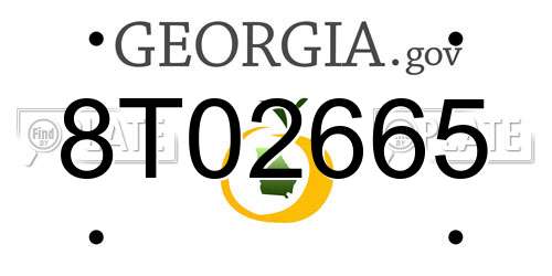 8T02665 Georgia License Plate
